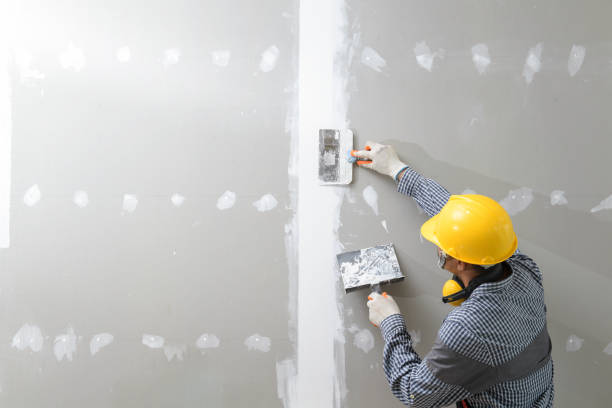 Best Drywall Removal and Disposal  in Dandridge, TN